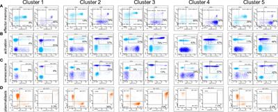 Fine Analysis of Lymphocyte Subpopulations in SARS-CoV-2 Infected Patients: Differential Profiling of Patients With Severe Outcome